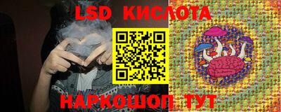 сатива Камышлов