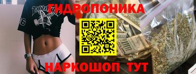 крисы Канаш