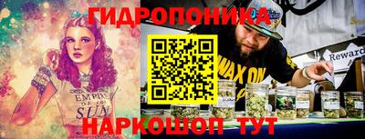 кокс Кандалакша