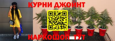 крисы Канаш