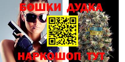сатива Камышлов