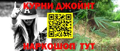 сатива Камышлов