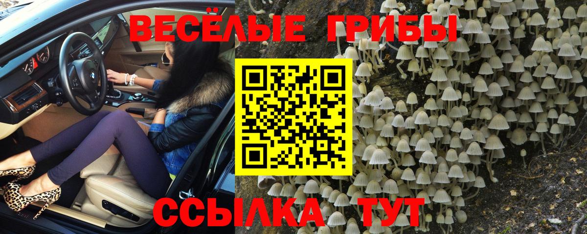 Ленинск-Кузнецкий  Псилоцибиновые грибы Magic Shrooms  Вход с VPN 