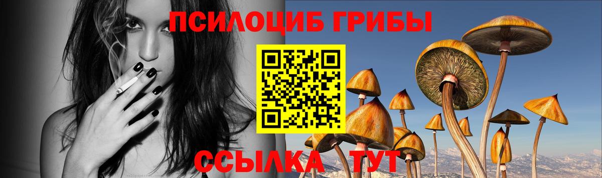 Псилоцибиновые грибы Cubensis Ленинск-Кузнецкий
